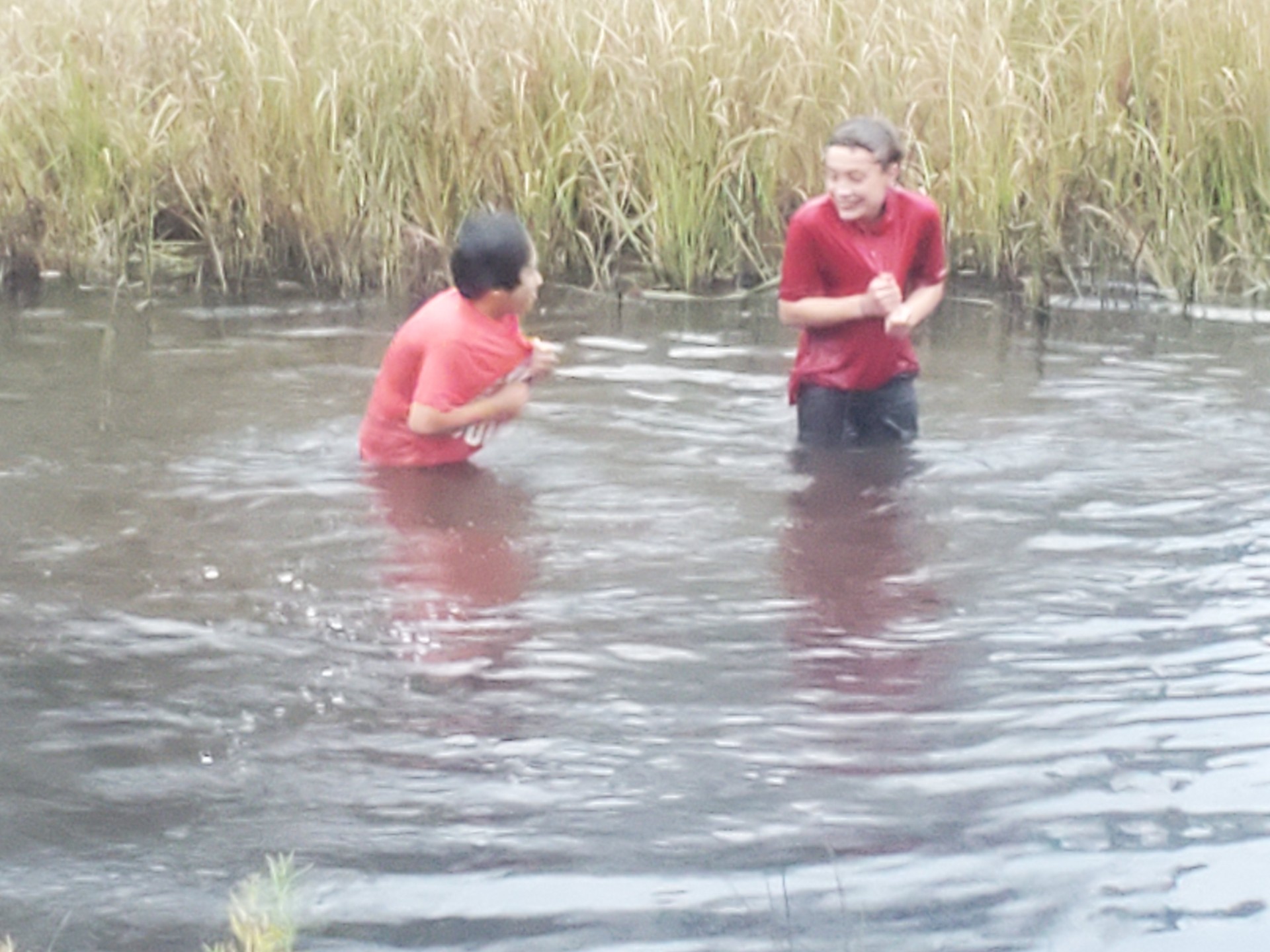 students in pond