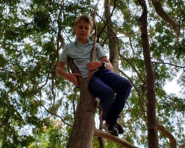 student climbing a tree - Boarding schools - boarding schools near me - twice exceptional students - top boarding schools – Hampshire Country School